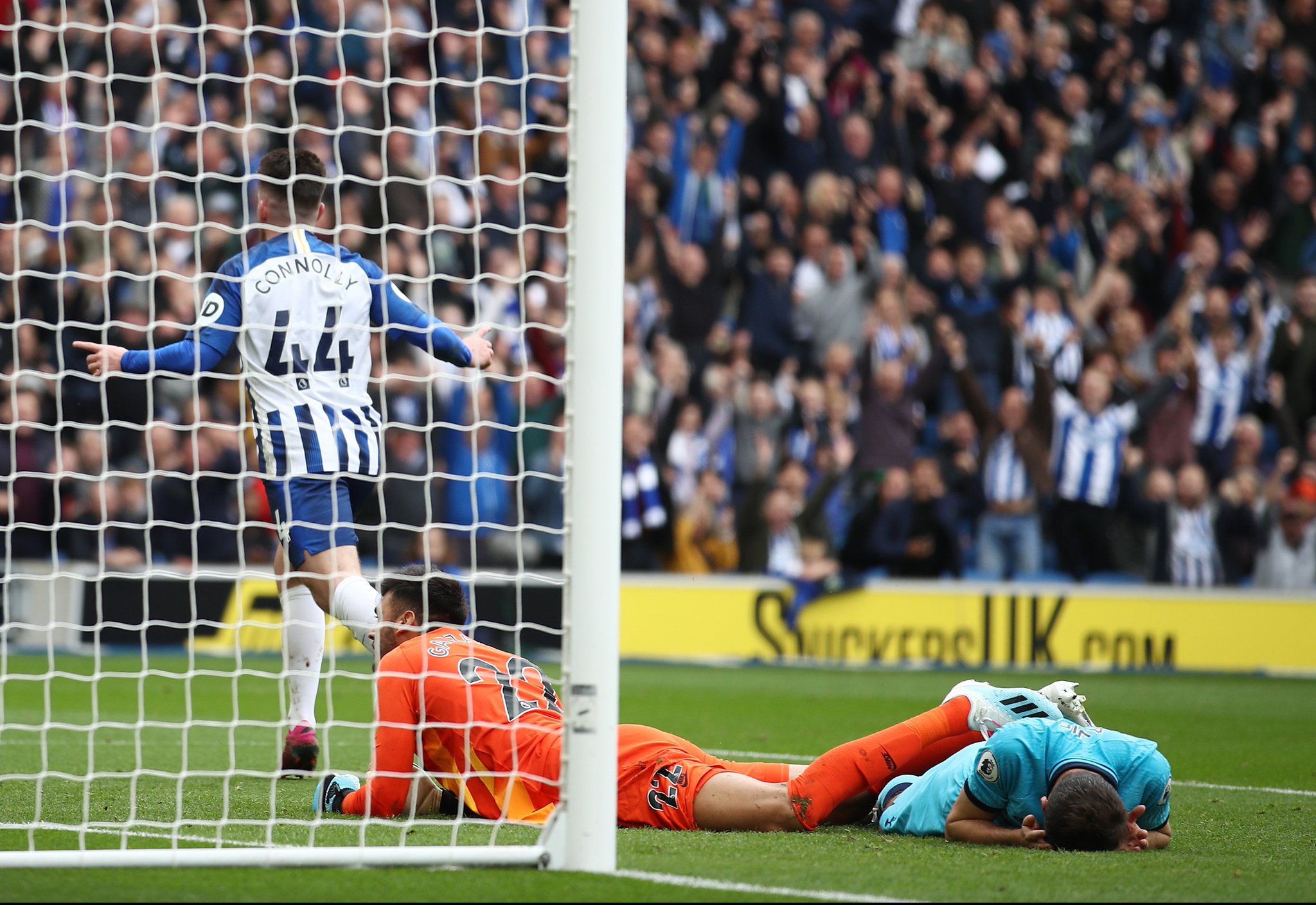 仅突出了生 仅突出了生